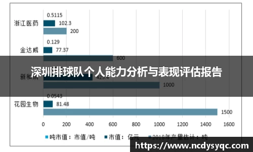 深圳排球队个人能力分析与表现评估报告