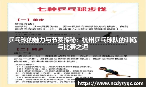乒乓球的魅力与节奏探秘：杭州乒乓球队的训练与比赛之道