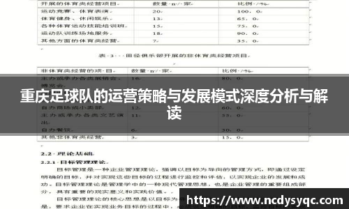 重庆足球队的运营策略与发展模式深度分析与解读