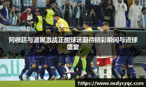 阿根廷与波黑激战正酣球迷期待精彩瞬间与进球盛宴