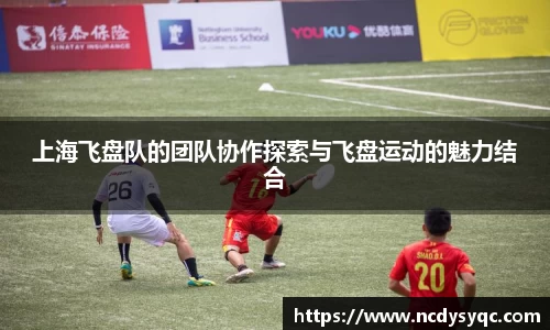 上海飞盘队的团队协作探索与飞盘运动的魅力结合